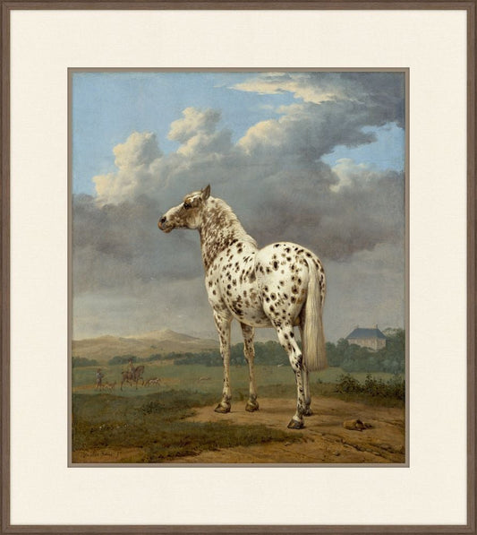 The Piebald Horse