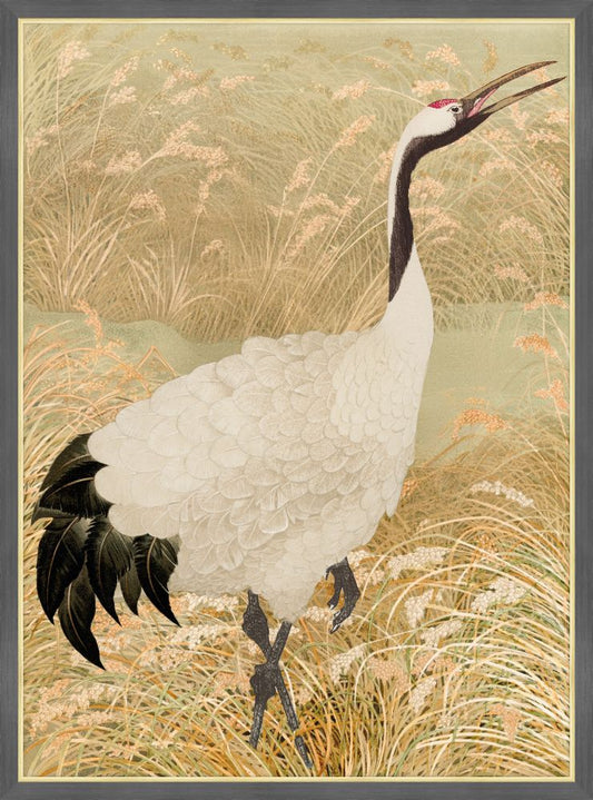 Sarus Crane in Rice Field II