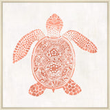 Asian Turtle Coral I