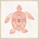 Asian Turtle Coral II