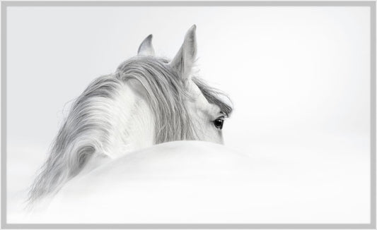 White Horse