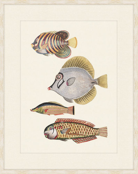 Renard Poisson Plate II