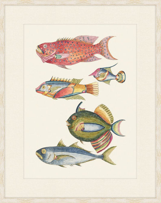 Renard Poisson Plate III