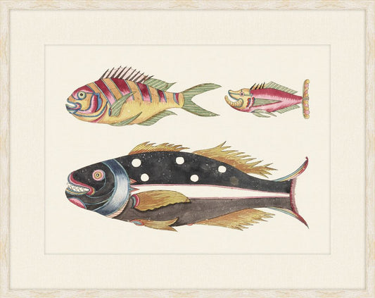 Renard Poisson Plate IV