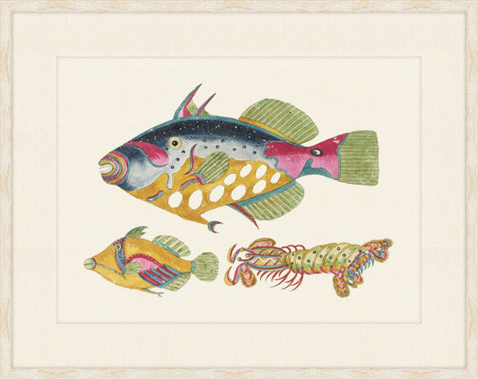Renard Poisson Plate V