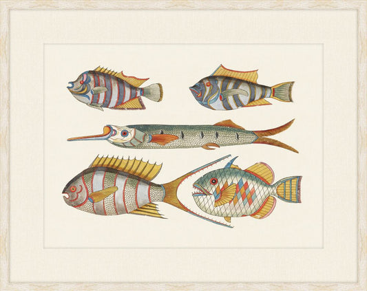 Renard Poisson Plate VI