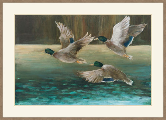 Mallard Flight