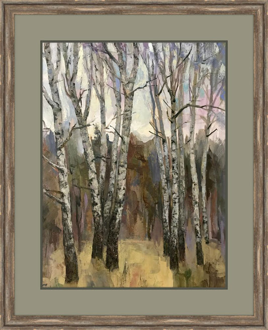 Birches in Winter
