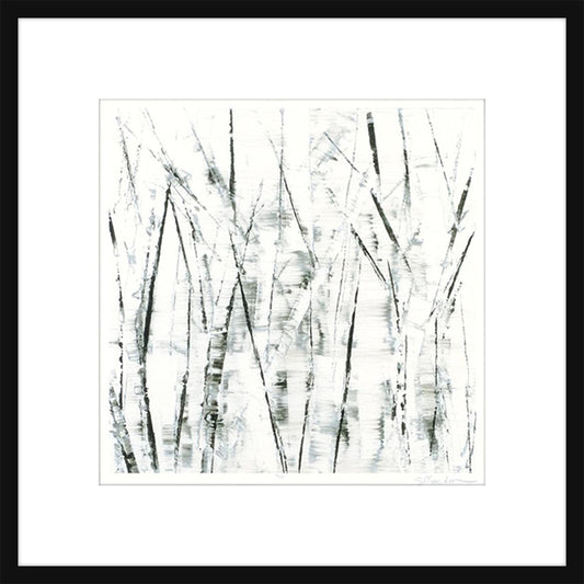 Birches II