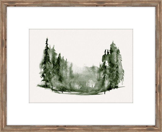 Evergreen Forest IV