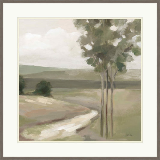 Olive Trees