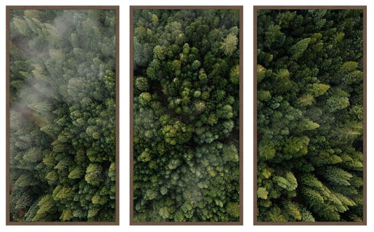 Forrest View Triptych