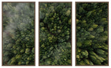 Forrest View Triptych