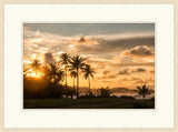 Tropical Sunset