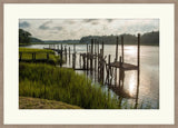 Carolina Estuary