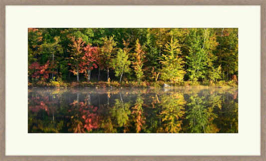 Autumn Pond