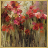 Wild Carnations