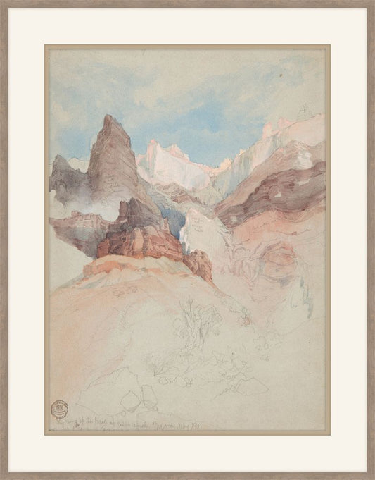 Looking up the Trail