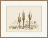 Desert Sentinels