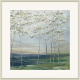 Quiet Trees Beside Misty Waters