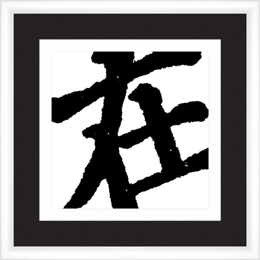 SYMBOLS IN BLACK & WHITE  VI