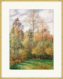 Automme Peupliers, Camille Pissaro, 1895