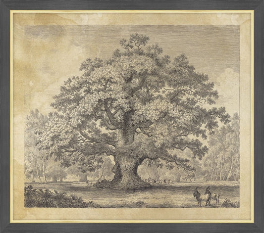 The Beggars Oak, Jacob George Strutt, 1826