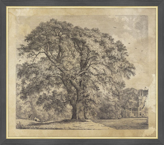 The Great Ash at Carnock, Jacob George Strutt, 1826