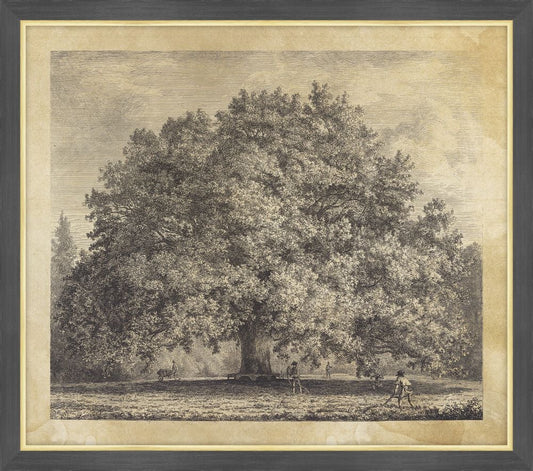 Chandes Oak, Jacob George Strutt, 1826