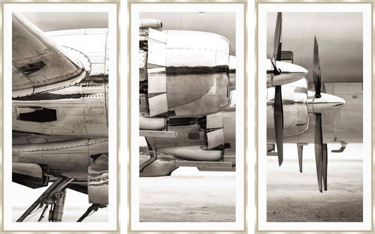 Plane Triptych Set of 3