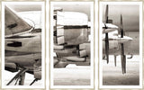 Plane Triptych Set of 3