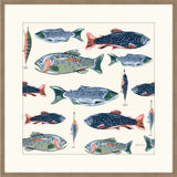 Catch of the Day  IX