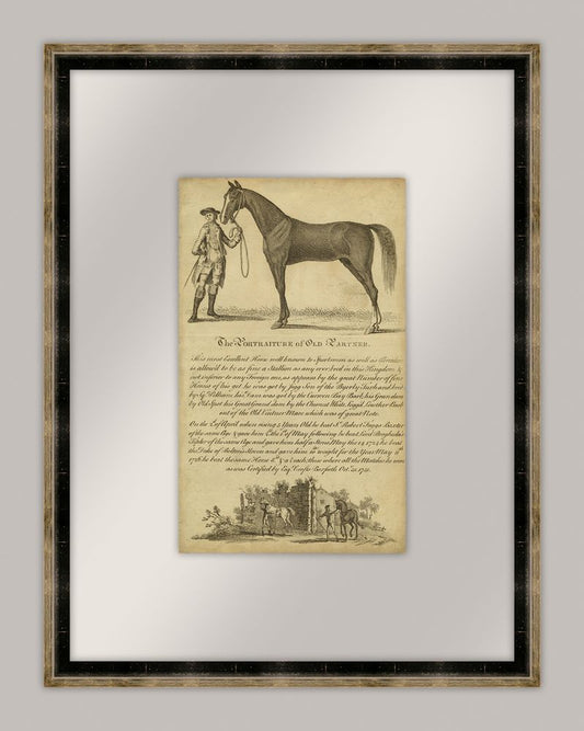 Horse Portraiture II