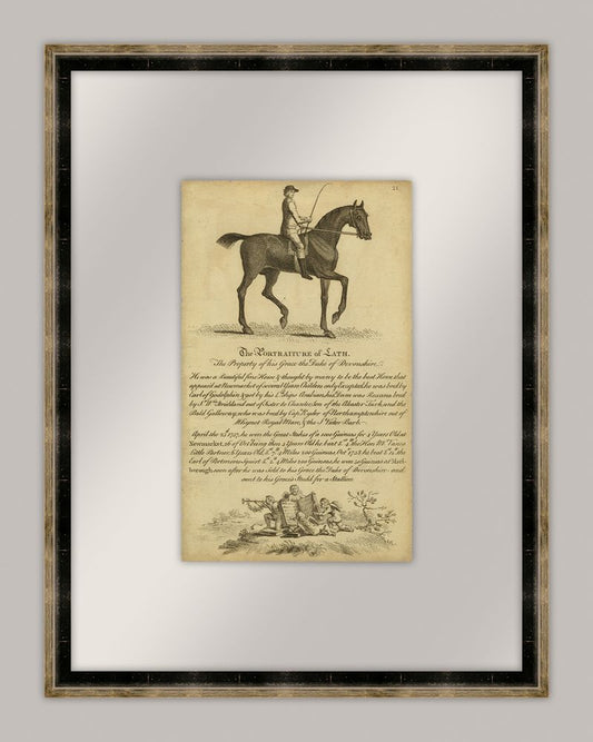 Horse Potraiture III