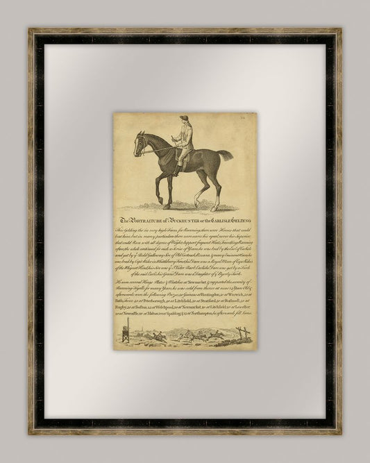 Horse Portraiture IV