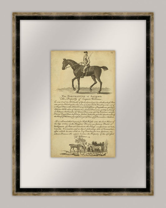 Horse Portraiture VI