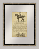 Horse Portraiture VI