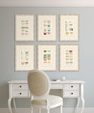 Forrester Tea Cups, Set of 6