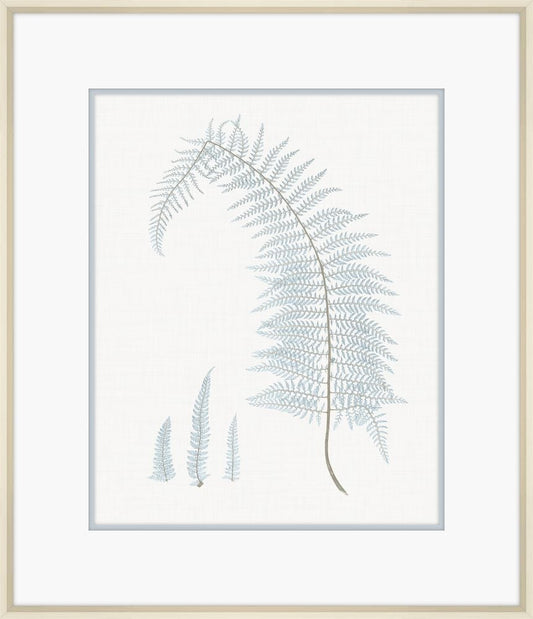 Champagne Stillwater Ferns II