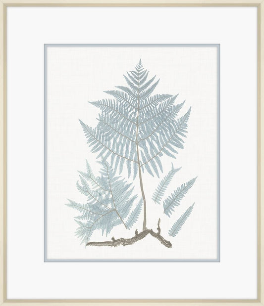 Champagne Stillwater Ferns III