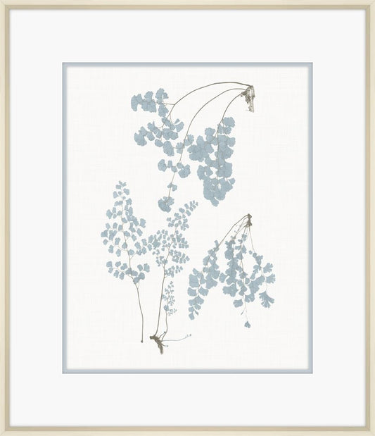 Champagne Stillwater Ferns V