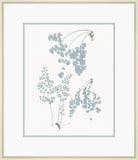 Champagne Stillwater Ferns V