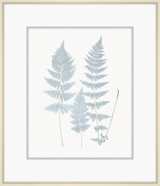 Champagne Stillwater Ferns VI