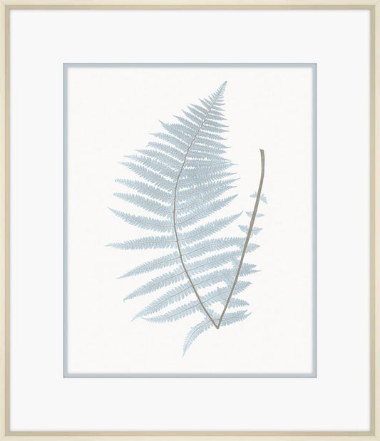 Champagne Stillwater Ferns VIII