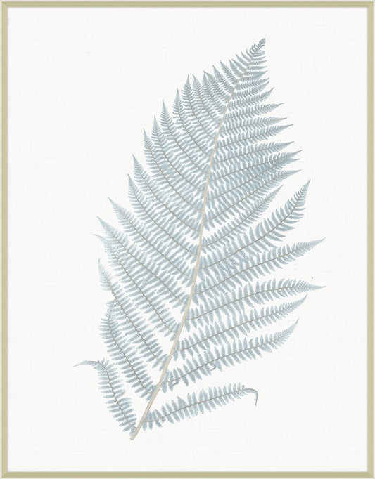 Champagne Still Water Ferns Grande I