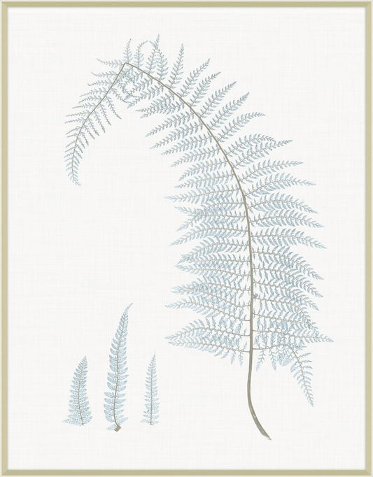 Champagne Still Water Ferns Grande II