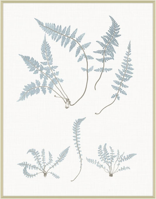 Champagne Still Water Ferns Grande IV