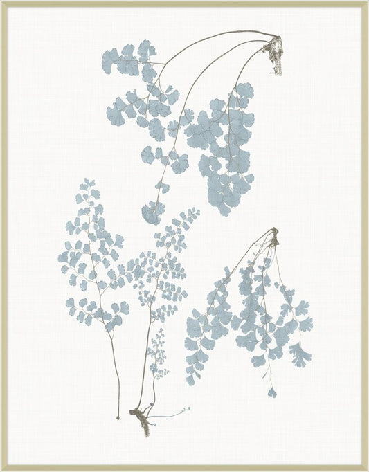 Champagne Still Water Ferns Grande V