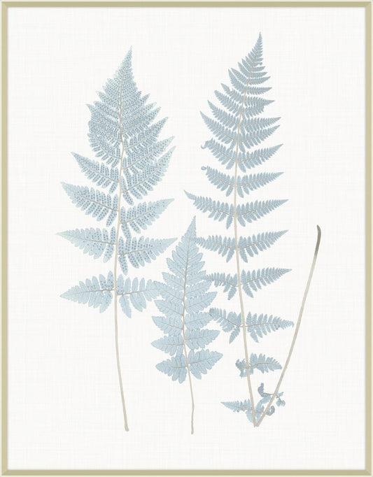 Champagne Still Water Ferns Grande VI