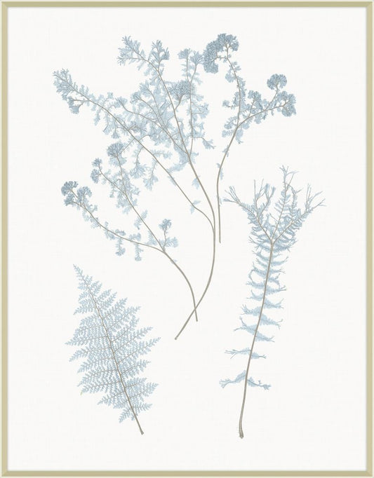 Champagne Still Water Ferns Grande VII